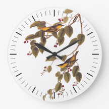 オードボンの鳥刺し木