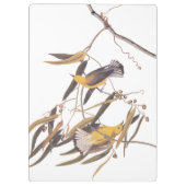 オードボンの黄色いプルトンタリーの鳥ペア クリップボード (裏面)