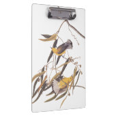 オードボンの黄色いプルトンタリーの鳥ペア クリップボード (右)