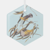 オードボンの黄色いプルトンタリーの鳥類 ガラスオーナメント (正面)