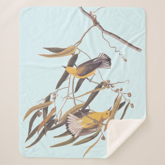 オードボンの黄色いプルトンタリーの鳥類 シェルパブランケット (正面)