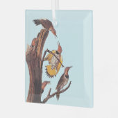 オードボンの黄金翼のキツツキの鳥の科 ガラスオーナメント (正面左)