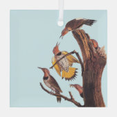 オードボンの黄金翼のキツツキの鳥の科 ガラスオーナメント (裏面)