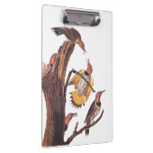 オードボンの黄金翼のキツツキの鳥の科 クリップボード (右)