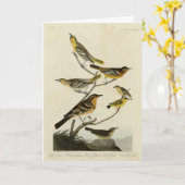 オードボンの『アメリカの鳥』のオリオレス、ツグミ カード (黄色い花)