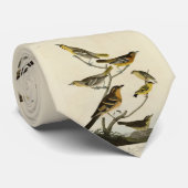 オードボンの『アメリカの鳥』のオリオレス、ツグミ ネクタイ (ロール)