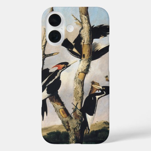 オードボンアイボリーハングルドペッカー絵を描ズ Case-Mate iPhoneケース (裏面)