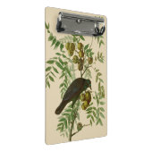 オードボンアメリカクロウブラックバード ミニクリップボード (アングル)