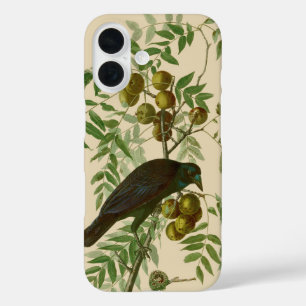 オードボンアメリカクロウブラックバード iPhone 16ケース