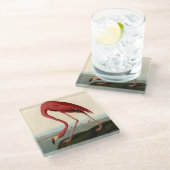 オードボンアメリカンフラミンゴ ガラスコースター (アングル)