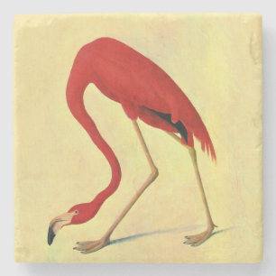 オードボンアメリカンフラミ絵画ンゴ ストーンコースター