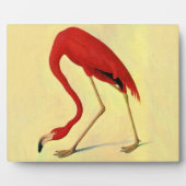 オードボンアメリカンフラミ絵画ンゴ フォトプラーク (正面)