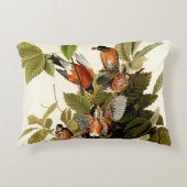 オードボンアメリカンロビンワイルドライフバードイラストレーション アクセントクッション (正面)