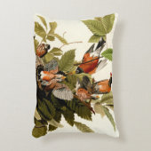オードボンアメリカンロビンワイルドライフバードイラストレーション アクセントクッション (正面(垂直))