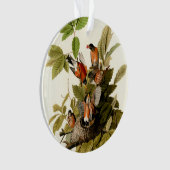 オードボンアメリカンロビンワイルドライフバードイラストレーション オーナメント (正面)