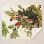 オードボンアメリカンロビンワイルドライフバードイラストレーション シェルパブランケット (正面(横))