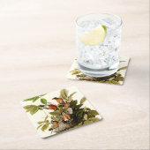 オードボンアメリカンロビンワイルドライフバードイラストレーション スクエアペーパーコースター (インサイチュ)