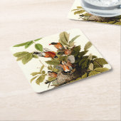 オードボンアメリカンロビンワイルドライフバードイラストレーション スクエアペーパーコースター (アングル)