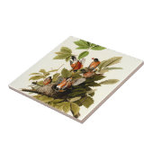 オードボンアメリカンロビンワイルドライフバードイラストレーション タイル (側面)