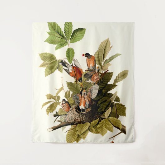 オードボンアメリカンロビンワイルドライフバードイラストレーション タペストリー (正面)