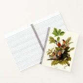 オードボンアメリカンロビンワイルドライフバードイラストレーション ノートブック (内部)