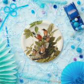 オードボンアメリカンロビンワイルドライフバードイラストレーション ペーパープレート (パーティー)