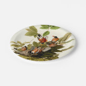 オードボンアメリカンロビンワイルドライフバードイラストレーション ペーパープレート (アングル)