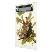 オードボンアメリカンロビンワイルドライフバードイラストレーション ミニクリップボード (アングル2)