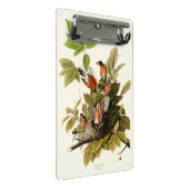 オードボンアメリカンロビンワイルドライフバードイラストレーション ミニクリップボード (アングル)