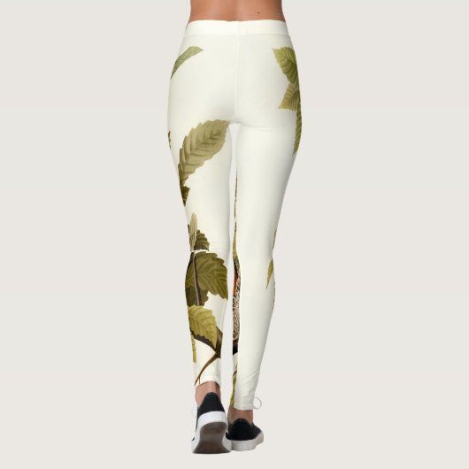 オードボンアメリカンロビンワイルドライフバードイラストレーション レギンス (裏面)