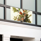 オードボンアメリカンロビンワイルドライフバードイラストレーション 横断幕 (ビルの外側)