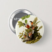 オードボンアメリカンロビンワイルドライフバードイラストレーション 缶バッジ (正面&裏面)