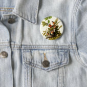 オードボンアメリカンロビンワイルドライフバードイラストレーション 缶バッジ (インサイチュ)