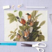 オードボンアメリカンロビンワイルドライフバードイラストレーション 薄葉紙 (クラフト)