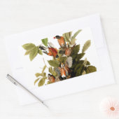 オードボンアメリカンロビンワイルドライフバードイラストレーション 長方形シール (封筒)