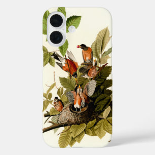 オードボンアメリカンロビンワイルドライフバードイラストレーション iPhone 16ケース