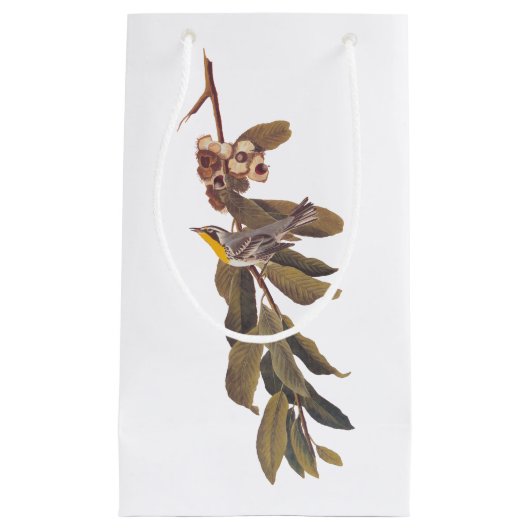 オードボンイエロースロートウォーブラーソングバード スモールペーパーバッグ (正面)