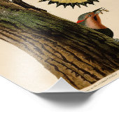 オードボンイラストレーションゴールデンウィングウッドペッカー フォトプリント            (角)