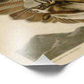 オードボンイラストレーション赤尾ホーク フォトプリント (角)