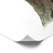 オードボンウッドペッカーポスター ポスター (角)