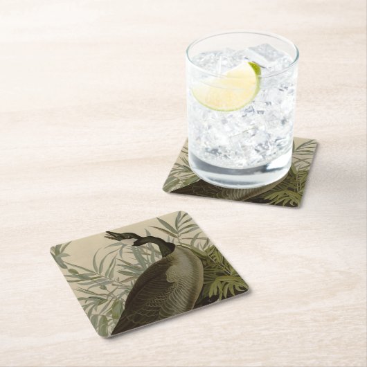 オードボンカナダガチョウ スクエアペーパーコースター (インサイチュ)