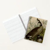 オードボンカナダガチョウ ノートブック (内部)