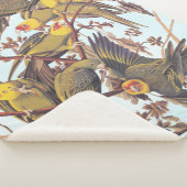 オードボンカロライナインパレーケエフロック シェルパブランケット (3/4)