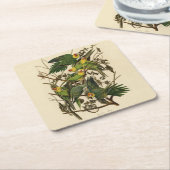 オードボンカロライナオウムイラストレーション スクエアペーパーコースター (アングル)