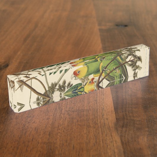 オードボンカロライナオウムイラストレーション デスクネームプレート (側面)