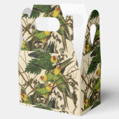 オードボンカロライナオウムイラストレーション フェイバーボックス (オープン)