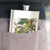 オードボンカロライナオウムイラストレーション フラスク (インサイチュ)