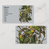 オードボンカロライナオウムイラストレーション 名刺 (正面/裏面)