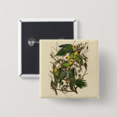 オードボンカロライナオウムイラストレーション 缶バッジ (正面&裏面)