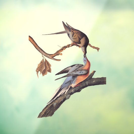 オードボンキスをする鳩 ウィンドウサイン (シート3)